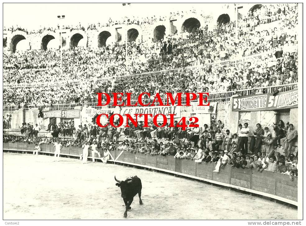 13 ARLES PHOTOGRAPHIE DE PRESSE ARENES COCARDE RASETEUR TAUREAU TAUROMACHIE CAMARGUE PROVENCE - Lieux