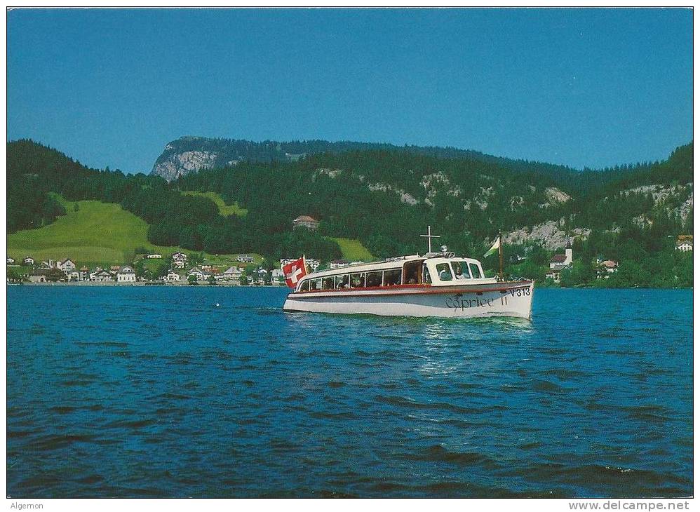 4065 - Bateau  Lac De Joux Caprice II - Sonstige & Ohne Zuordnung