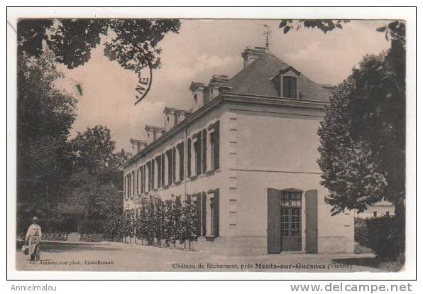 Chateau  De RICHEMONT Près  MONTS-sur-GUESNES - Monts Sur Guesnes