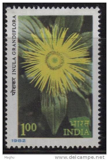 India MNH 1982, 1.00r Himalayan Flowers, Flower Showy Inula - Ungebraucht