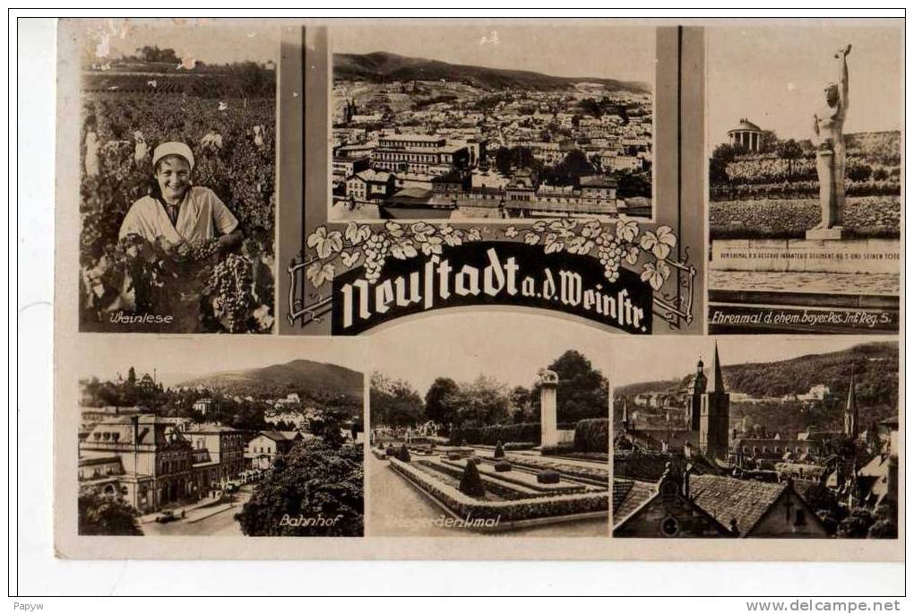 Neustadt Weinstr. - Multivues - Neustadt (Weinstr.)