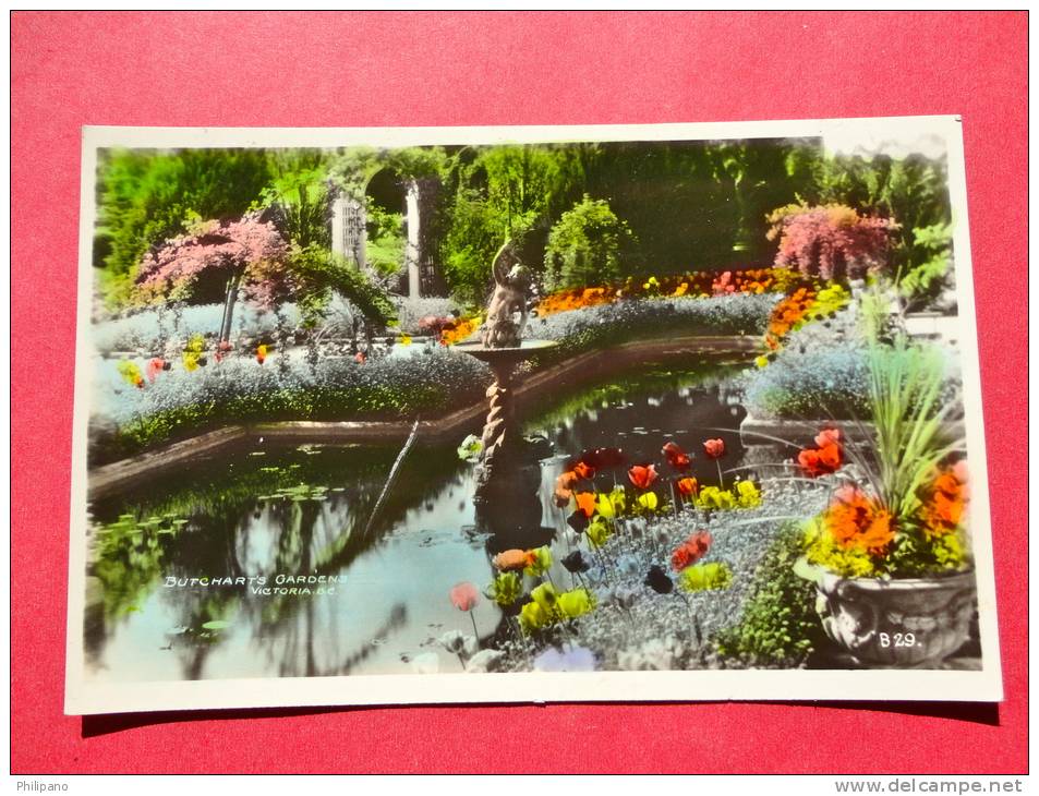 > British Columbia > Victoria  Real Photo  Color Butcharts  Gardens =====ref 564 - Victoria