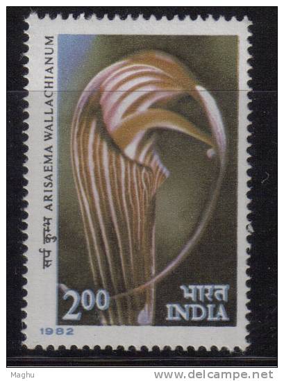 India MNH 1982, 2.00 Himalayan Flowers, Cobra Lily Flower - Neufs