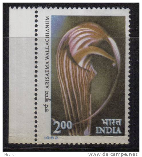 India MNH 1982, 2.00 Himalayan Flowers, Cobra Lily Flower - Unused Stamps