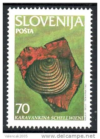 1185/ Slowenien Slovenia Slovenie 1995 Mi.No.108 ** MNH Fossilien Fosil - Fossilien