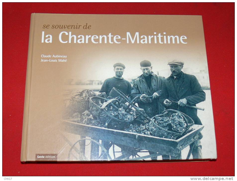 CHARENTE MARITIME 800 REPRO  CPA / PHOTOS   MARANS LA ROCHELLE ROCHEFORT ROYAN SAINTES ST JEAN ANGELY MARENNES SAUJON - Boeken & Catalogi