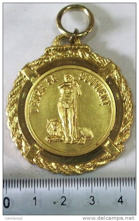 Militaria Belle Grosse Médaille Metal Doré Or Diam 4.7 Cm  LEUZE SE SOUVIENT Dans Son Boitier - Belgium