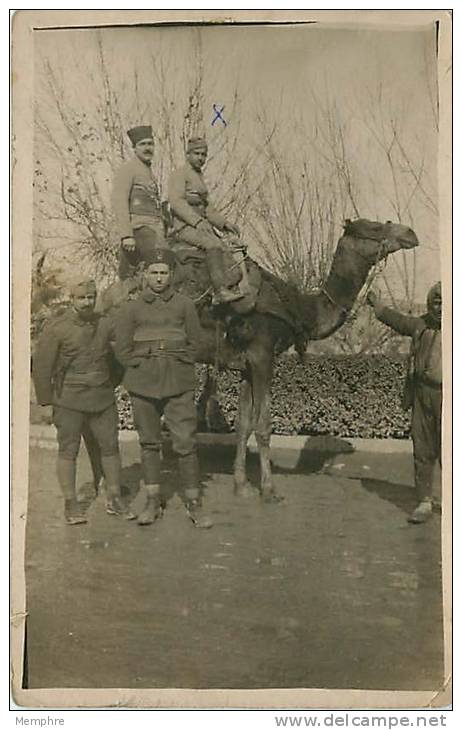 Soldats Français En Syrie  à Dos De Chameau  Ecrite - War 1914-18