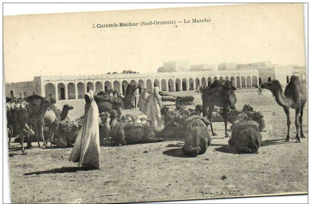 COLOMBECHAR  Le Marché     Recto Verso - Bechar (Colomb Béchar)