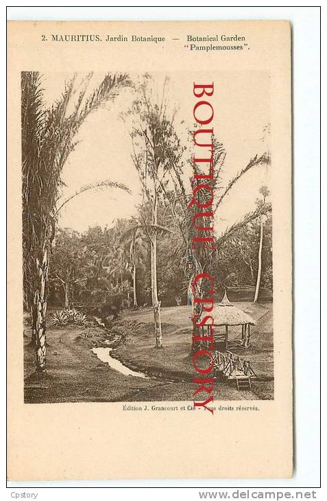 MAURITIUS - Jardin Botanique & Pamplemousse - Botinical Garden - N° 2 < J. Grancourt Editeur - Ile Maurice - Dos Scané - Mauritius