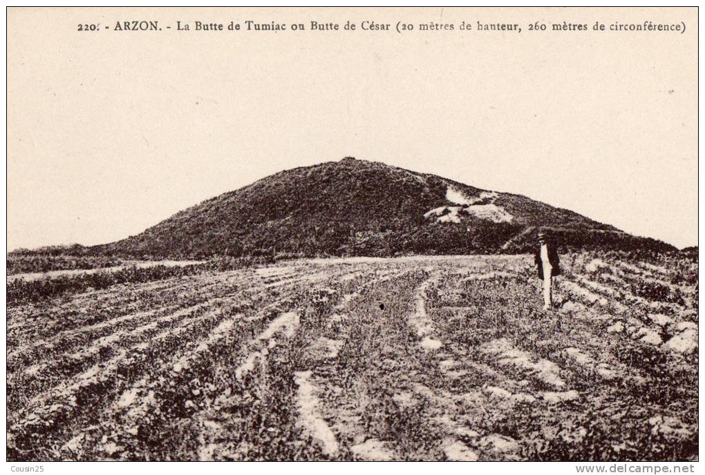 56 ARZON - La Butte De Tumiac Ou Butte De César - Arzon