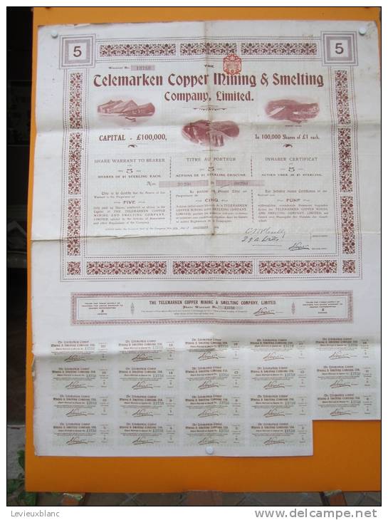 Action/Telemarken Copper Mining & Smelting Company Ltd/Titre Au Porteur/1906   ACT21 - Autres & Non Classés