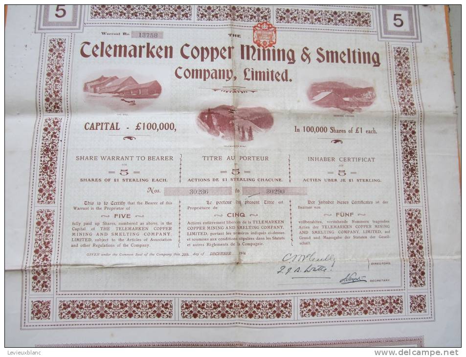 Action/Telemarken Copper Mining & Smelting Company Ltd/Titre Au Porteur/1906   ACT21 - Autres & Non Classés