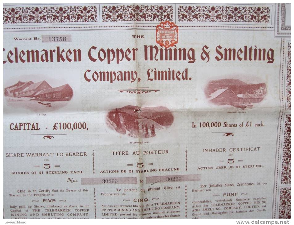 Action/Telemarken Copper Mining & Smelting Company Ltd/Titre Au Porteur/1906   ACT21 - Autres & Non Classés