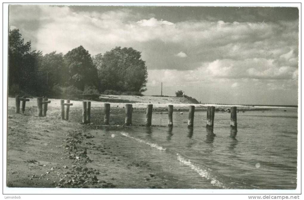 Germany, Ostseebad Boltenhagen, Unused Postcard [10130] - Boltenhagen