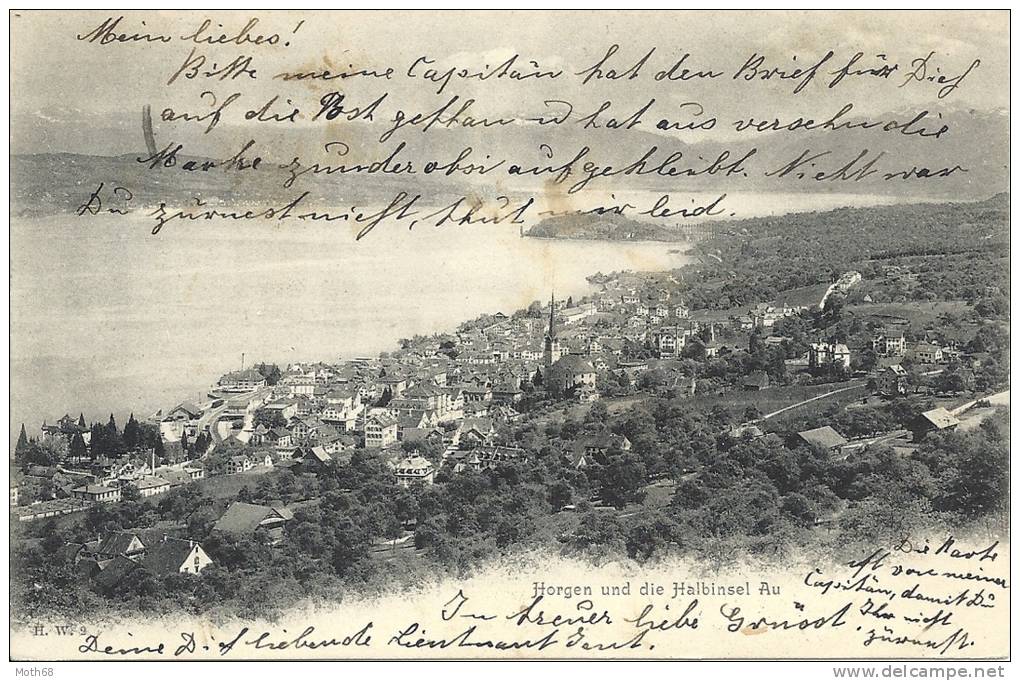 1904 Horgen Und Die Halbinsel Au SW - Horgen