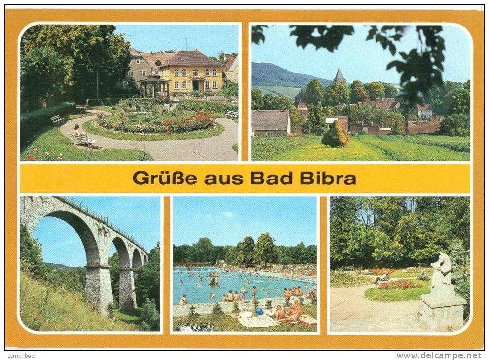 Germany, Grusse Aus Bad Bibra, Unused Postcard [10133] - Bad Bibra