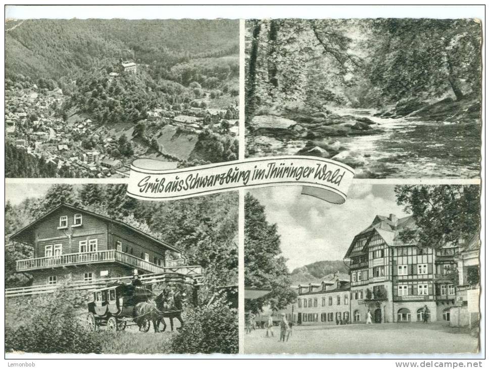 Germany, Gruss Aus Schwarzburg Im Thuringer Wald, 1962 Used Postcard [10138] - Saalfeld