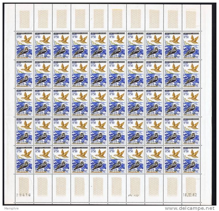 1962  Feuille Complète De 50 Ex  0,50fr Eiders  Oiseaux  Yv 364 **  Feuille Pliée   Birds - Unused Stamps