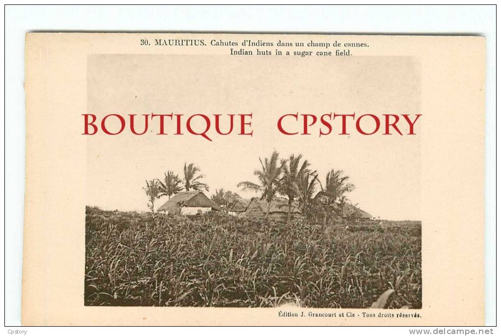 MAURITIUS - Cahutes D'Indiens < Champ De Canne à Sucre - Indian Sugar Cane Field - N° 30 < Grancourt Editeur Ile Maurice - Mauritius