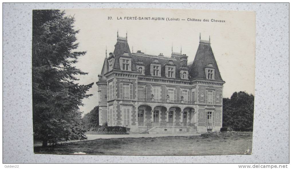 La Ferté Saint Aubin. Château Des Chevaux - La Ferte Saint Aubin