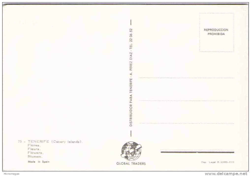 Flores De Las Islas Canarias - Otros & Sin Clasificación