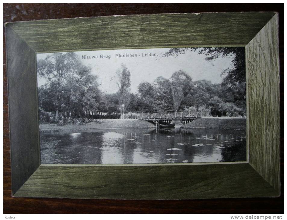 LEIDEN - 1905  Verzonden - Nieuwe Brug Plantsoen - Rahmenpostkarte - Lot BA 5 - Leiden