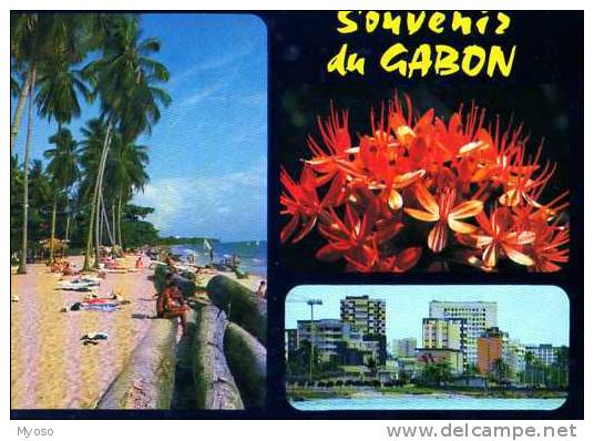Souvenir Du GABON - Gabon