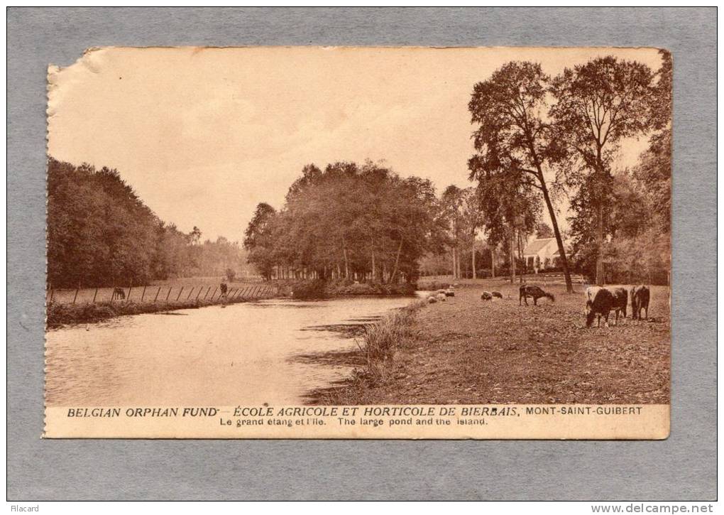 30093   Belgio,  Mont-Saint-Guibert, Ecole  Agricole  Et  Horticole  De  Bierbais, Le Grand  Etang  Et L"Ile,  NV - Mont-Saint-Guibert