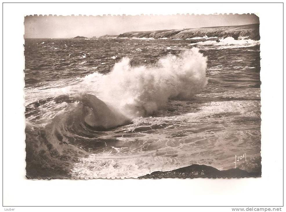 CPSM 56 PRESQU'ILE DE QUIBERON La Côte Sauvage - Autres & Non Classés