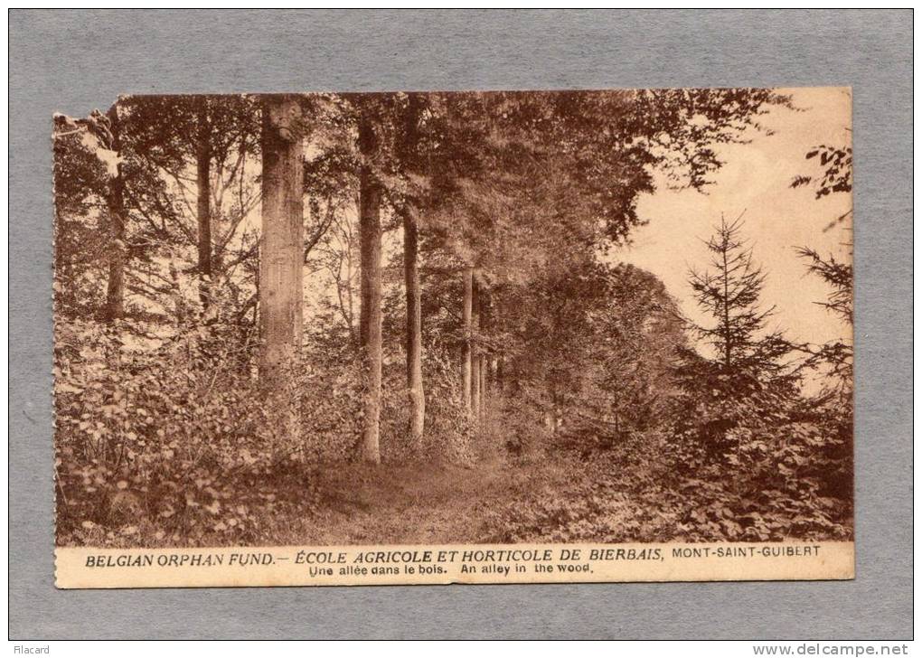 30094   Belgio,  Mont-Saint-Guibert, Ecole  Agricole  Et  Horticole  De  Bierbais, Une  Allee Dans Le  Bois,  NV - Mont-Saint-Guibert