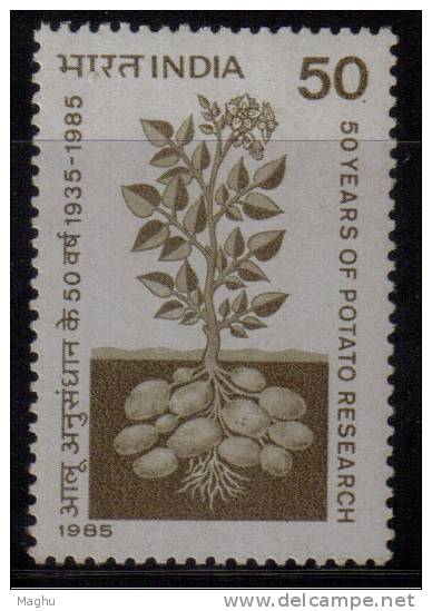 India MNH 1985,  Potato Research, Science, Chemistry., - Ungebraucht