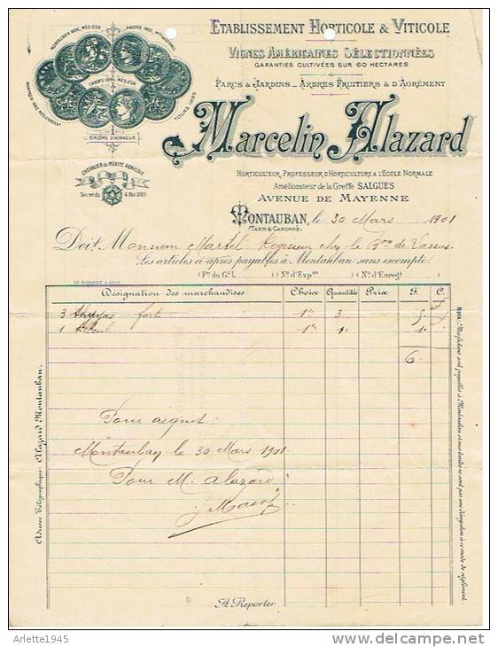 ETABLISSEMENT HORTICOLE & VINICOLE MARCELIN FLAZARD 1901 à MONTAUBAN - Electricity & Gas