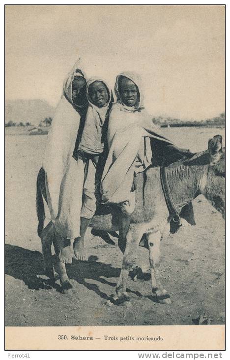 AFRIQUE - ALGERIE - SAHARA - Trois Petits Moricauds (sur Un âne) - Enfants