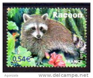 TIMBRE NOUVEAU FRANCE ANIMAUX RONGEURS RACOON - Roedores