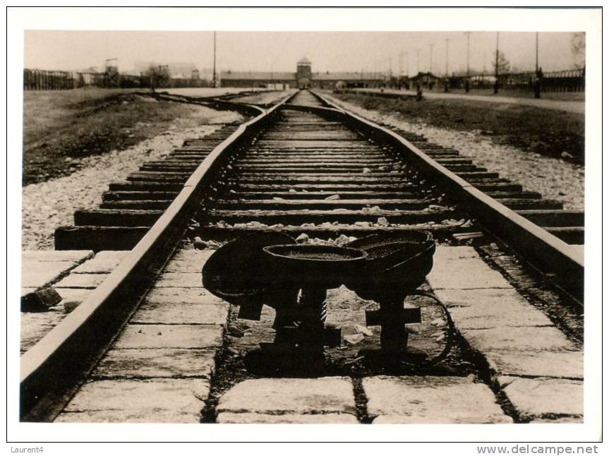 (500) Auschwitz-Birkenau (rail Tracks) - War 1939-45