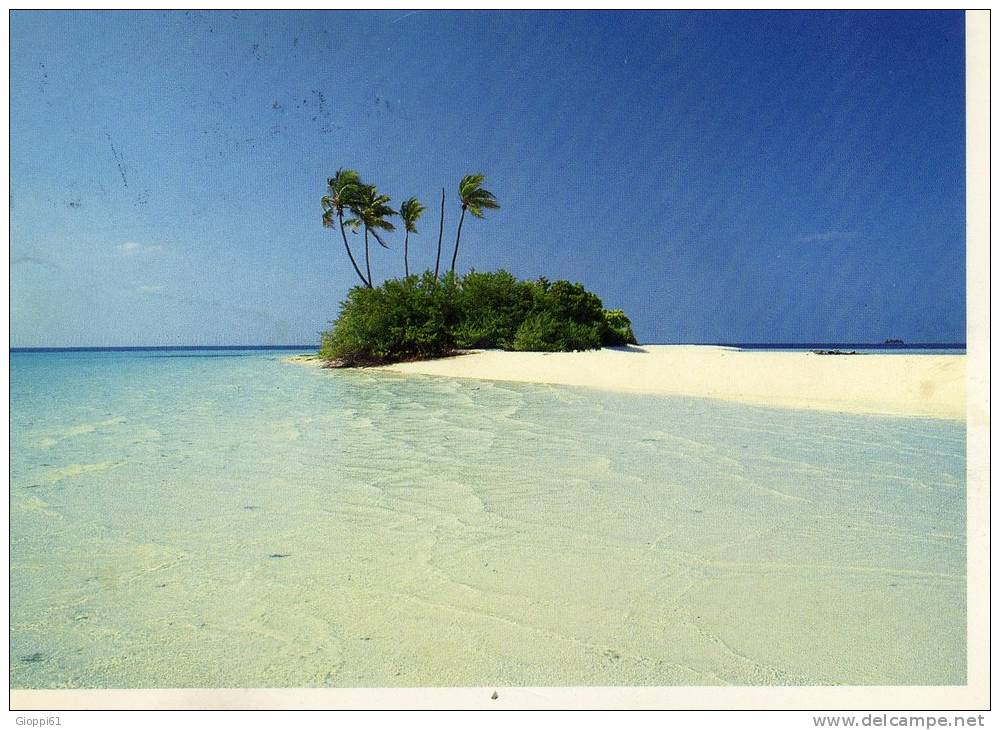 Isole Maldive - Particolare - Maldives