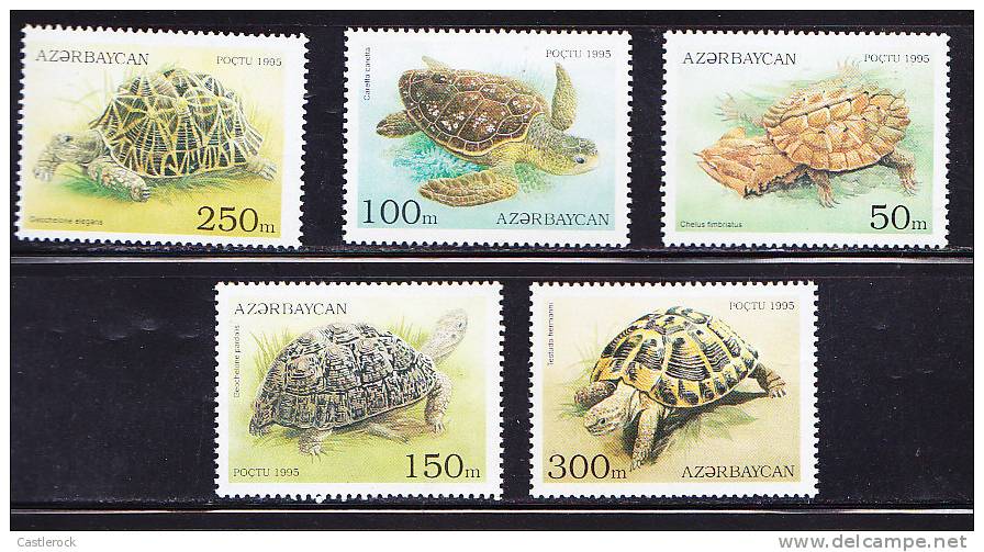 T)1995,AZERBAIJAN,TURTLES,SET(5),MNH. - Schildpadden