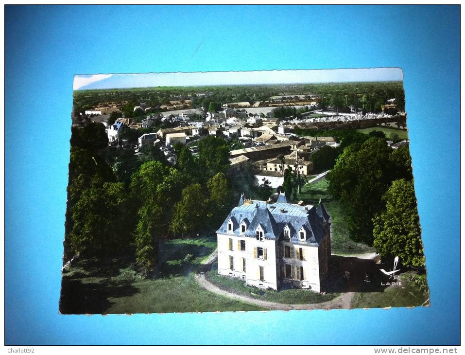 LA VENDEE   EN AVION AU DESSUS DE LA CHAIZE LE VICOMTE LE GUELIGNAGEAU CARTE GLACEE DENTELEE EN COULEUR - La Chaize Le Vicomte