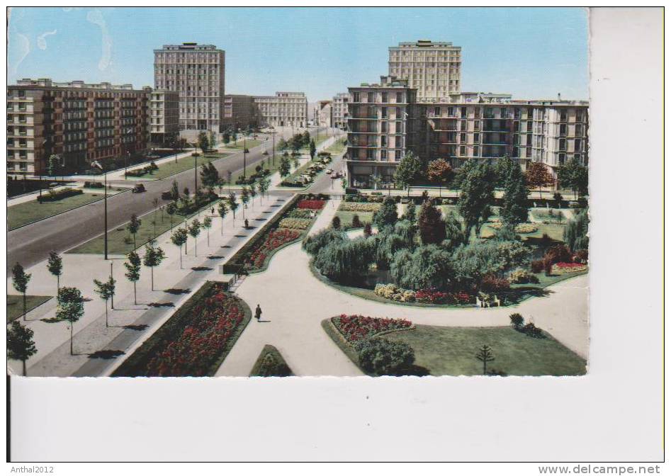 Le Havre Avenue Foch Et Square Saint Roch 60er - Saint-Roch (Plein)