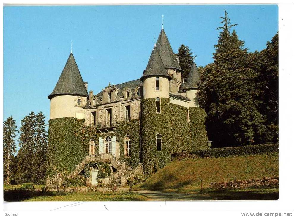 CHATEAU DE SEILHAC - Incendié à La Révolution, Reconstruit "renaissance Au Xiv (famille Rodorel) - Autres & Non Classés