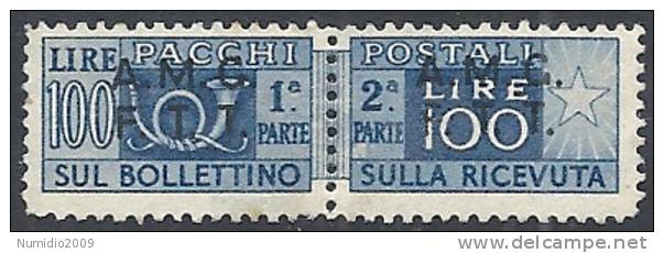 1947-48 TRIESTE A PACCHI POSTALI 2 RIGHE 100 LIRE MNH ** - RR10714 - Paketmarken/Konzessionen