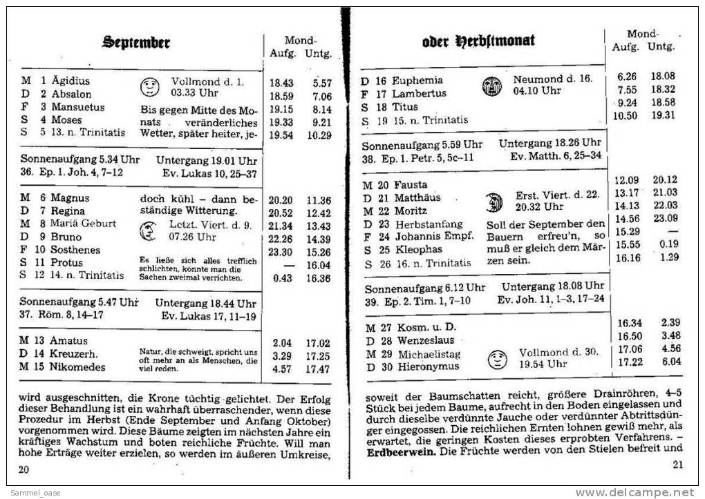 Eutiner Klenner Für Das Jahr Christi 1993 , Kalenderdarium Mit Mondauf- Und Untergangszeiten , Mondphasen - Calendars