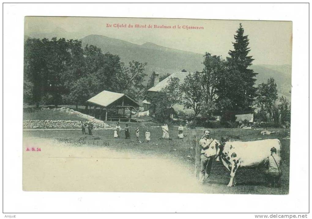 Chalet-Pension Du Mont De Baulmes Et Le Chasseron - Baulmes