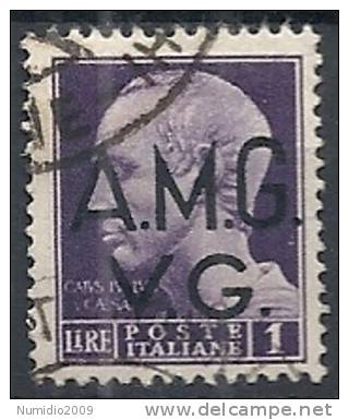 1945-47 TRIESTE AMG VG USATO 1 LIRA NO FILIGRANA - RR10719 - Usados