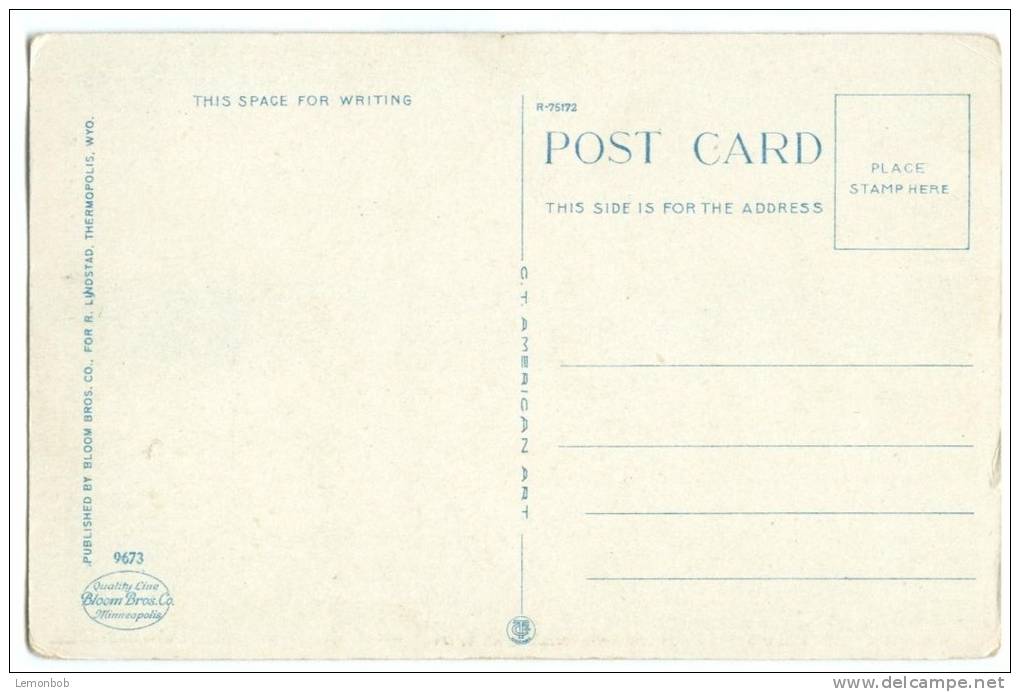 USA, Washakie Fountain, Big Horn Hot Springs, Thermopolis, Wyoming, Early 1900s Unused Postcard [10209] - Otros & Sin Clasificación