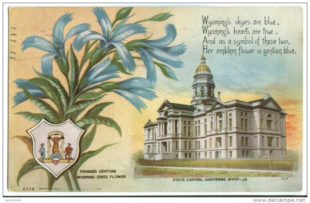 USA, Wyoming State Capitol, Cheyenne, 1910 Used Postcard [10222] - Cheyenne