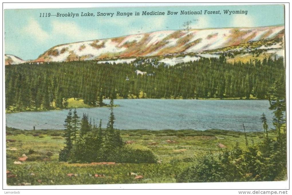 USA, Brooklyn Lake, Snowy Range In Medicine Bow National Forest, Wyoming,  Used Postcard [10228] - Other & Unclassified