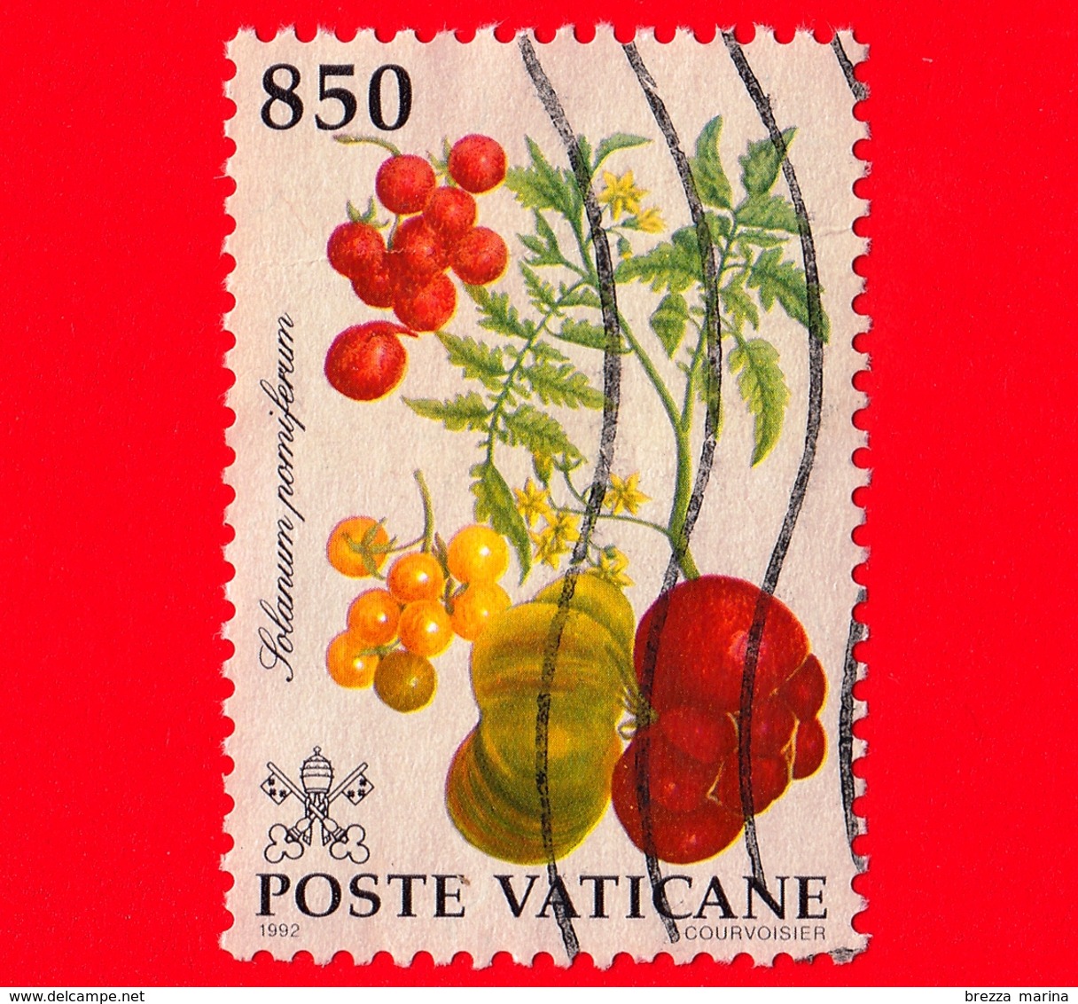 VATICANO  - Usato -  1992 - Flora Del Nuovo Mondo - 850 L. - Solanum Pomiferum - Used Stamps