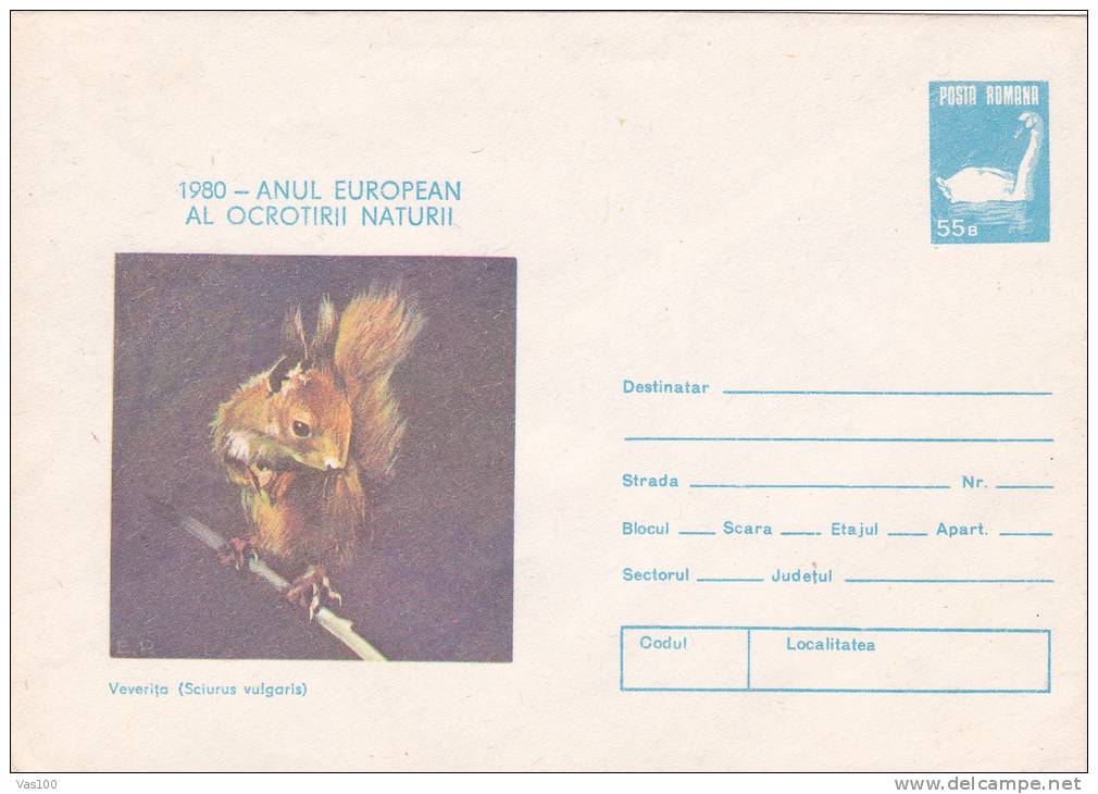 SQUIRREL, 1980, COVER STATIONERY, ENTIER POSTAL, UNUSED, ROMANIA - Rongeurs